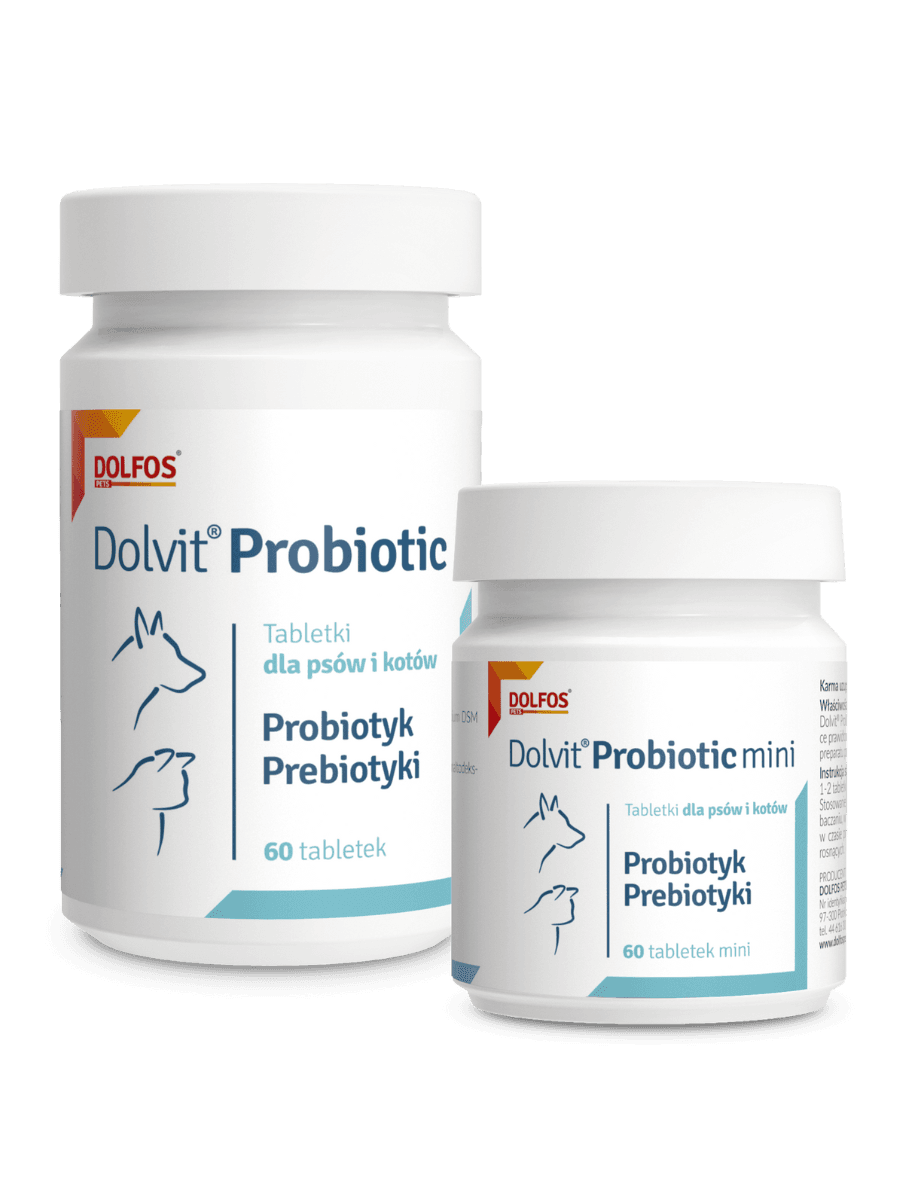 Dolvit Probiotic 60 tbl